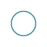 Image showing that the PDF download is in progress...