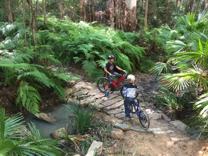 Mountain Biking on the Sunshine Coast