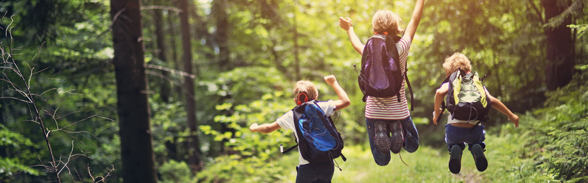 Image showing children running amongst the trees